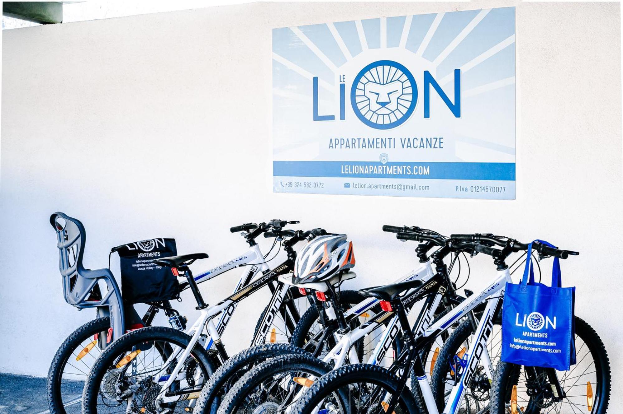 Le Lion Apartments - Lys Family Apartment Aosta Zewnętrze zdjęcie